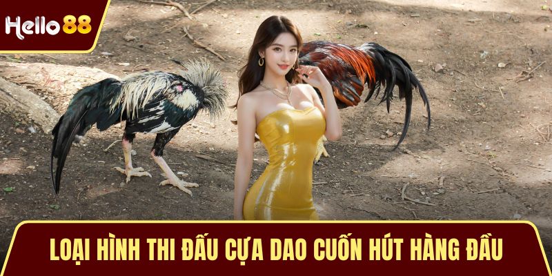 Đá Gà Thomo Trực Tiếp - Sức Hút Của Chiến Kê Từ Campuchia Loại hình thi đấu cựa dao cuốn hút hàng đầu