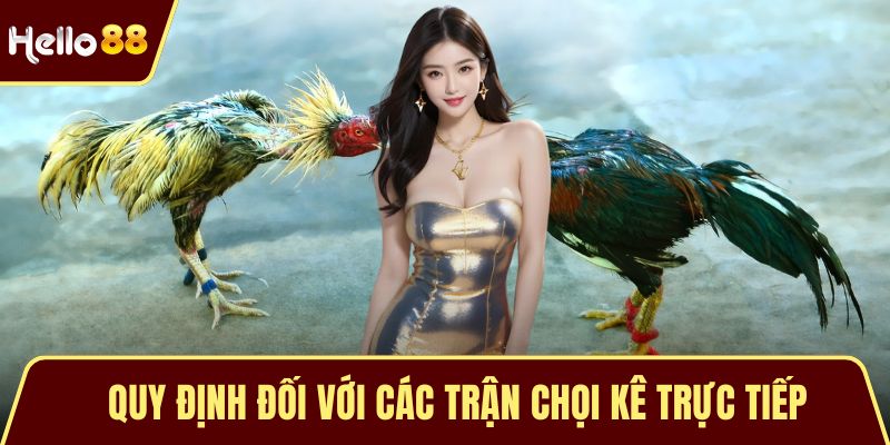 Đá Gà Thomo Trực Tiếp - Sức Hút Của Chiến Kê Từ Campuchia Quy định đối với các trận chọi kê trực tiếp